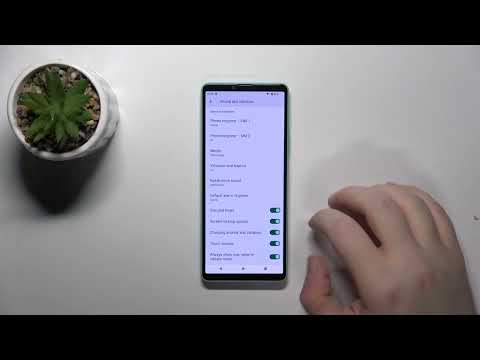 How to Enable/Disable Screen Locking Sounds on SONY Xperia 10 IV?