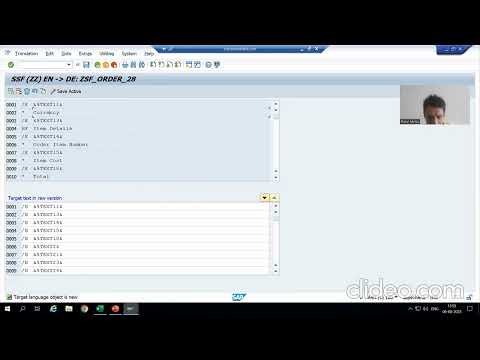 46 - Smartforms - Translation Into Other Languages Part1