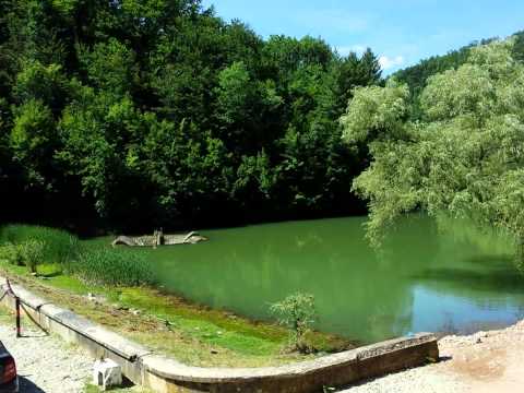 Lacul Vida (Romania)