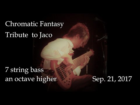 Chromatic Fantasy for the 30th anniversary of Jaco's death (an octave higher in D, 7string bass)
