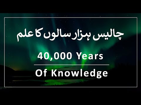 Chapter 00/20 - The Introduction Of 40,000 Years Of Knowledge Series