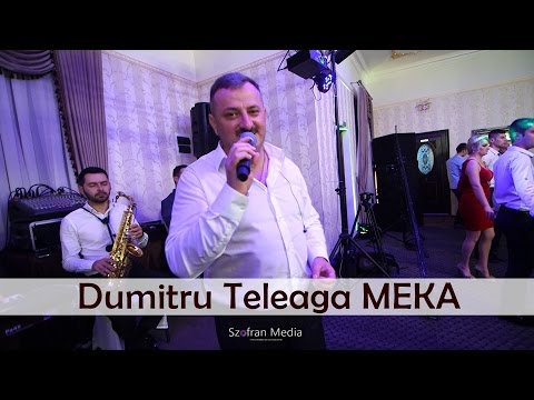 || Dumitru Teleaga Meka || Nunta David & Roxana ||