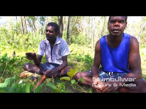 Dhaambulg Story 1 - D Bara and K Murrungun - Murrungun Songs