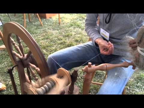 一般的な亜麻 植物