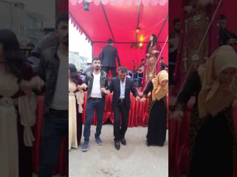 Dilan Rojava & Hozan Reşo Halay Potpori Kürt Düğünü Muhteşem Halay VAN AŞİRET  DÜĞÜNÜ