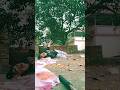 Sab Kuch Bhula Diya Sathi Re Sab Kuchh Bhula Diya Yah Tune Kaisa Sila Diya