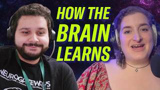 This young neuroscientist is challenging what we know about learning