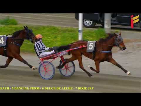 VI Corsa del 6 Marzo 2022 - 3 Anni - Metri 1600 - Gara centrale