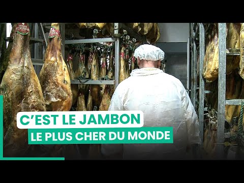 Jamón Bellota: These Spanish hams are worth their weight in gold | 750GTV