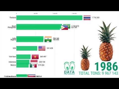 download lagu mp3 mp4 Which Country Produces The Most Pineapples, download lagu Which Country Produces The Most Pineapples gratis, unduh video klip Which Country Produces The Most Pineapples