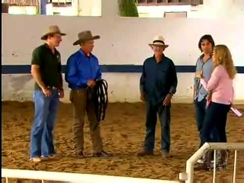 Programa Estrelas 09 04 2011 - Monty Roberts (O Encantador de cavalos)