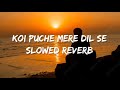 KOI PUCHE MERE DIL SE SLOWED REVERB DAILY MUSIC