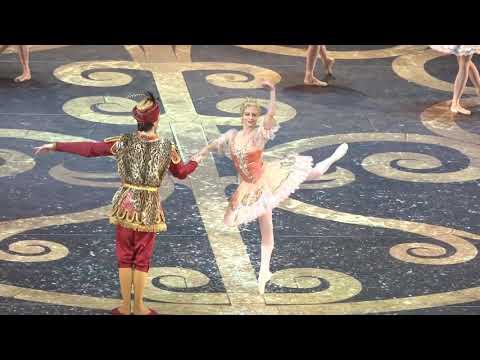 Nina Kaptsova (Bolshoi Ballet) Rose Adagio, Sleeping Beauty