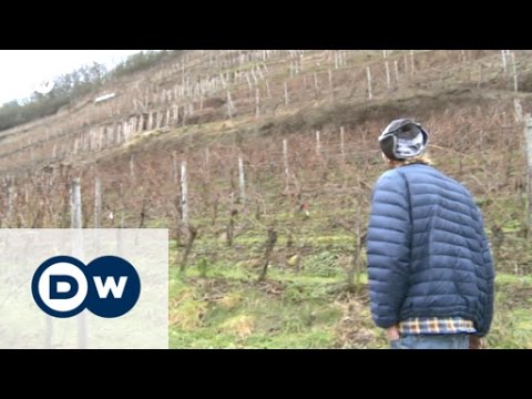 Koblenz with a Tourist from the US | Discover Germany