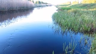 Как сделать ванду для рыбалки