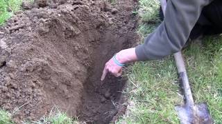 How to make a double dig vegetable bed