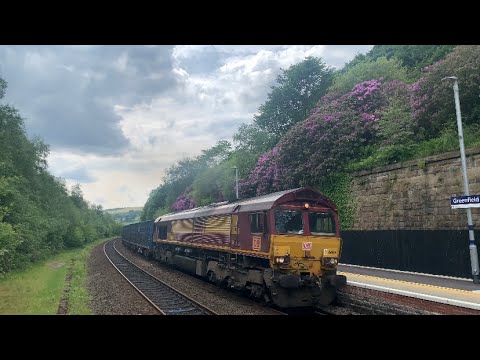 *Ikley* 66164 db livery *8 tones*