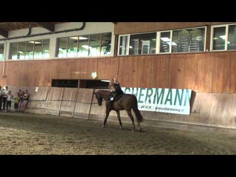 Voltige Club Harlekin Einzel Simone Jäiser Pflicht Uster 2012