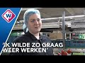 In thuisland makelaar, maar nu pakt Oekraïense Ivana Westlandse tomaten in - OMROEP WEST