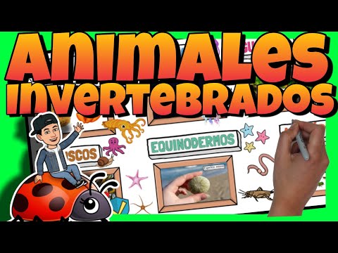 🦟 ANIMALES INVERTEBRADOS para NIÑOS de PRIMARIA