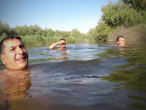 Din Pardina până la Periprava