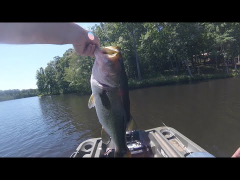 Fishing with the Berkley Choppo 120/ with Lure Review