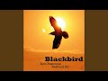 Blackbird (Live)