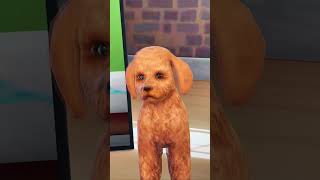 Making my puppy in The Sims 4 🐶 #shorts