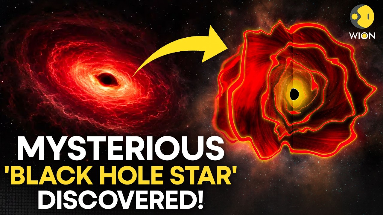 Black Hole Star Discovered: JWST Spots Mysterious New Object In Early Universe | WION Originals