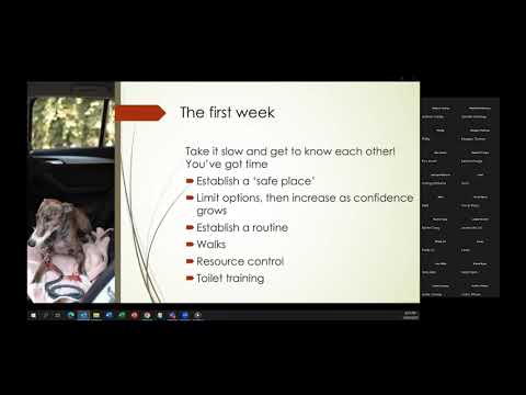 Webinar with Liam Deans-Pope