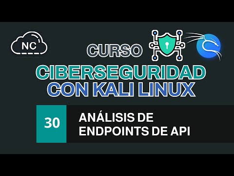 Curso de Ciberseguridad con Kali Linux Análisis de Endpoints de API