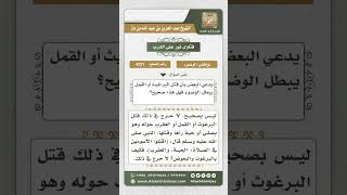 4221 - قتل البراغيث والقمل لا يبطل الوضوء - نور على الدرب image