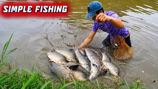 Download lagu Unbelievable! Trapping 5KG of Monster Fish in A Narrow Shallow Ditch mp3