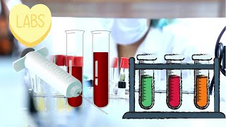 mobile phlebotomist part 1