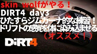 skin wolfがPS4 dirt4をプレイ！day3