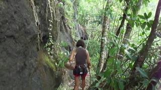 preview picture of video 'Moorea, Opunohu-Trois Cocotiers (Polynésie française)'