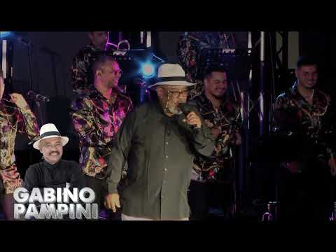 Entre Panas Diego Galé - Mi Vecina - Gabino Pampini - Latin Zone