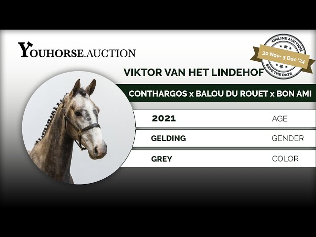 Viktor van het Lindehof