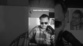 Download lagu Nak dara rindu dari isramlee nyanyian asal P Ramlee dalam seniman bujang lapok mp3 Download lagu Nak dara rindu dari isramlee nyanyian asal P Ramlee dalam seniman bujang lapok mp3