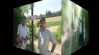 Camminata a Masio