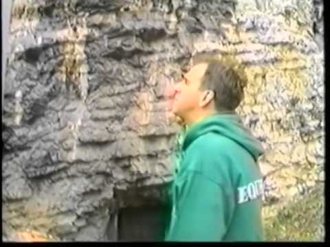 Zlatan Fazlić Fazla - Mahala