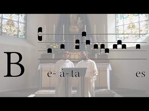 Beata es Virgo Maria O.P. (In Assumptione Beatae Mariae Virginis ad Missam in Vigilia)