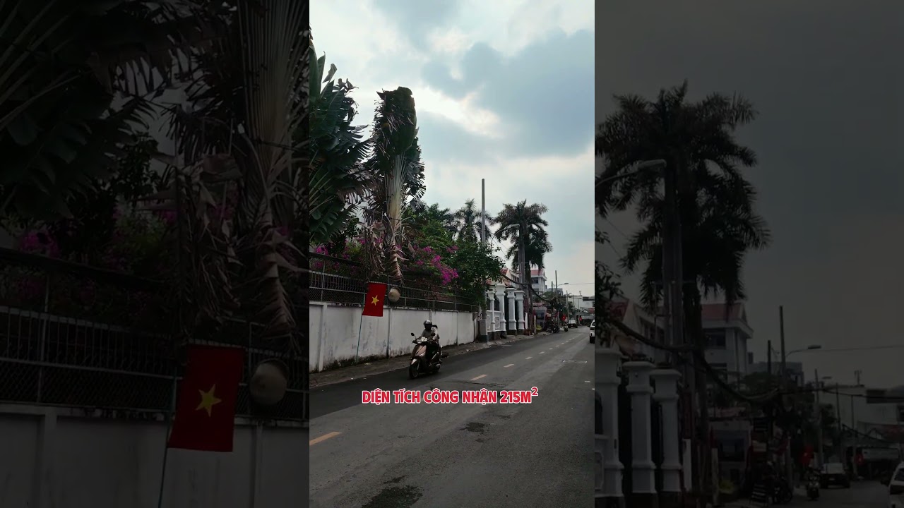 Ảnh đại diện Video