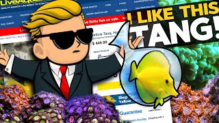 Crazy Yellow Tang Price!! reef aquarium's $GME & $AMC fish!! 🔷🙌