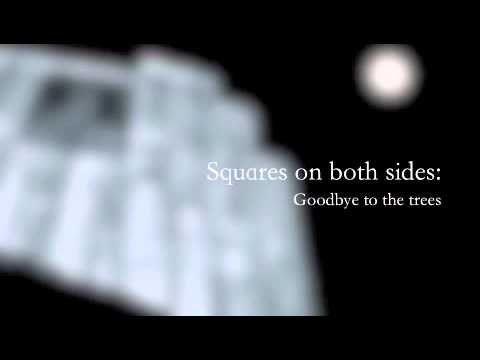 Squares on both sides- Goodbye to the trees