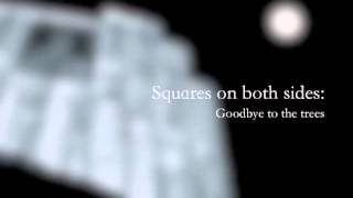 Squares on both sides- Goodbye to the trees