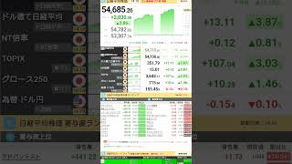 【仮説】ちっきぃしょぉ〜日経爆上してるのに保有株ほぼ無反応