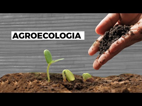 UFSC Explica - Agroecologia