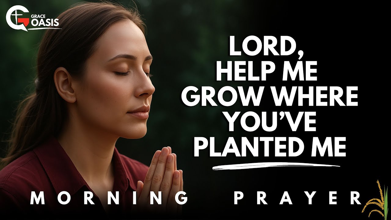 Are You the Good Soil or Just a Sunday Listener? | Morning Prayer