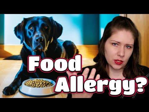 Food Allergy Elimination: A Vet's Comprehensive Guide